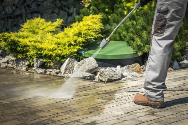 Best Window and Screen Pressure Cleaning in Mercedes, TX