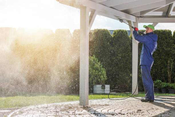Best Concrete Surface Cleaning in Mercedes, TX