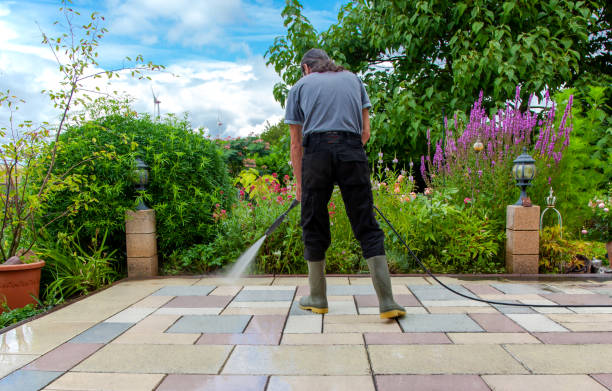 Best Residential Pressure Washing in Mercedes, TX
