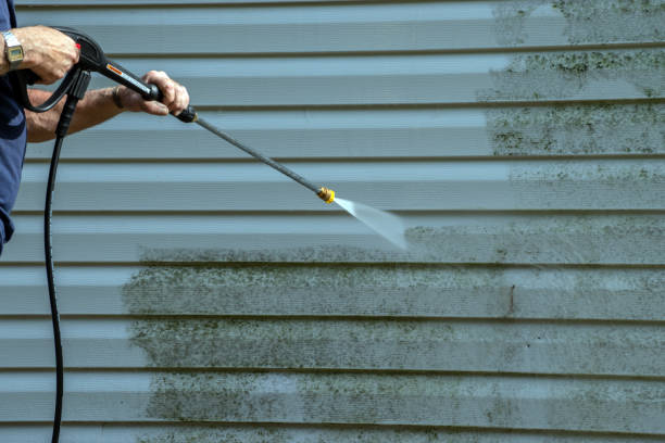 Best Sidewalk and Walkway Pressure Cleaning in Mercedes, TX